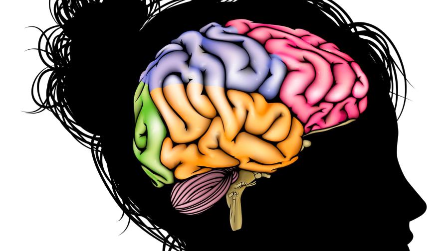 Comer en exceso puede ser por un “fallo cerebral”