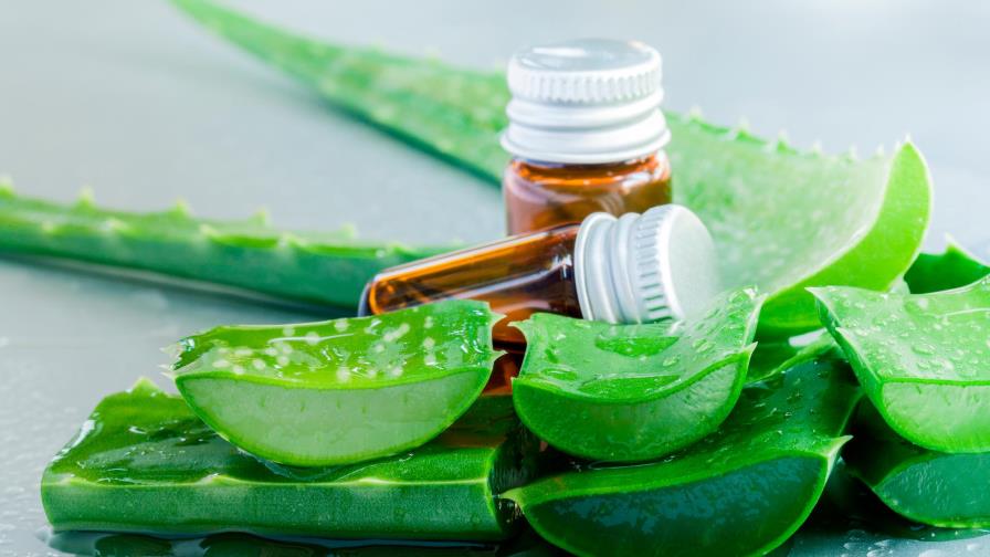 Así puedes preparar tu gel casero a base de aloe vera Así puedes preparar tu gel casero a base de aloe vera