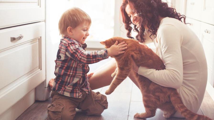 Tener una mascota es una excelente idea por estas 5 razones Tener una mascota es una excelente idea por estas 5 razones