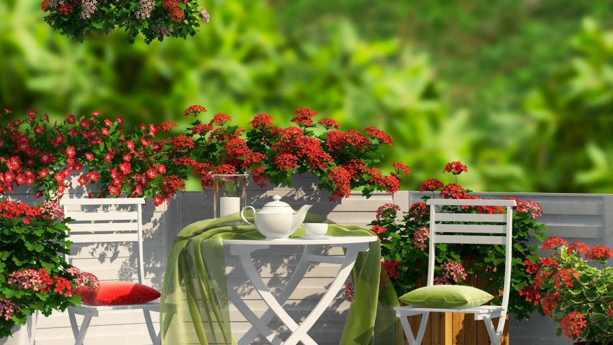 Terrazas de ensueño