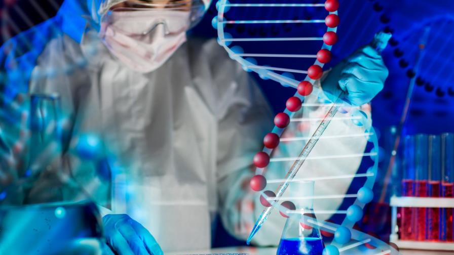 Apoyan edición genética contra     las enfermedades