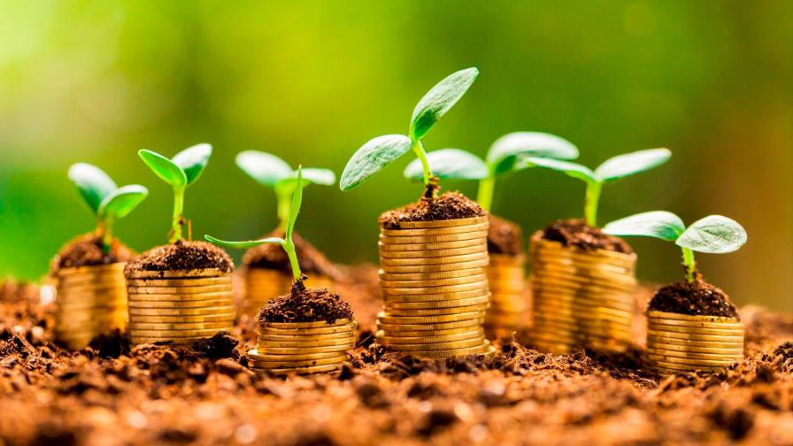 Consideran reto de la economía verde es cómo acceder a ella Consideran reto de la economía verde es cómo acceder a ella