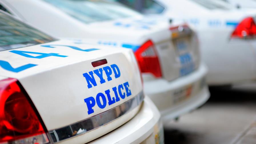 El esqueleto de un bebé apareció en el patio de una casa en Nueva York