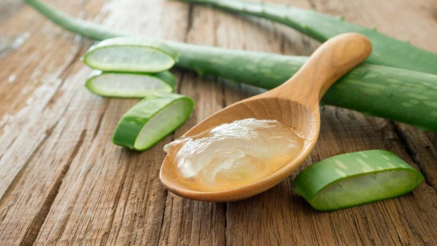 ¿Conoces todos los beneficios del aloe vera?