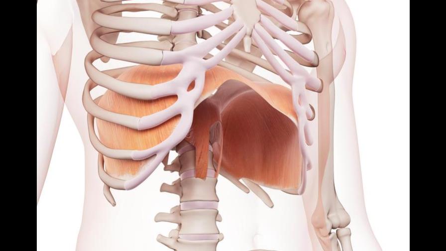 ¿Por qué tenemos hipo? La explicación detrás del fenómeno