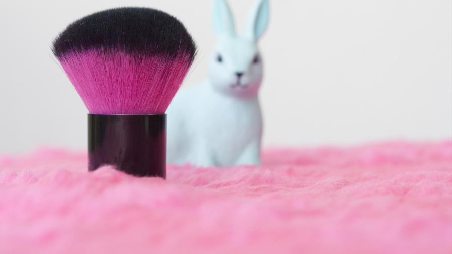 Latinoamérica, cada vez más cerca de dejar atrás las pruebas cosméticas en animales