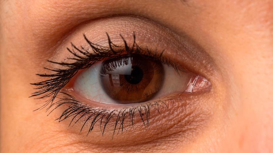 ¿Alguna vez te ha temblado el párpado? Esta es la explicación