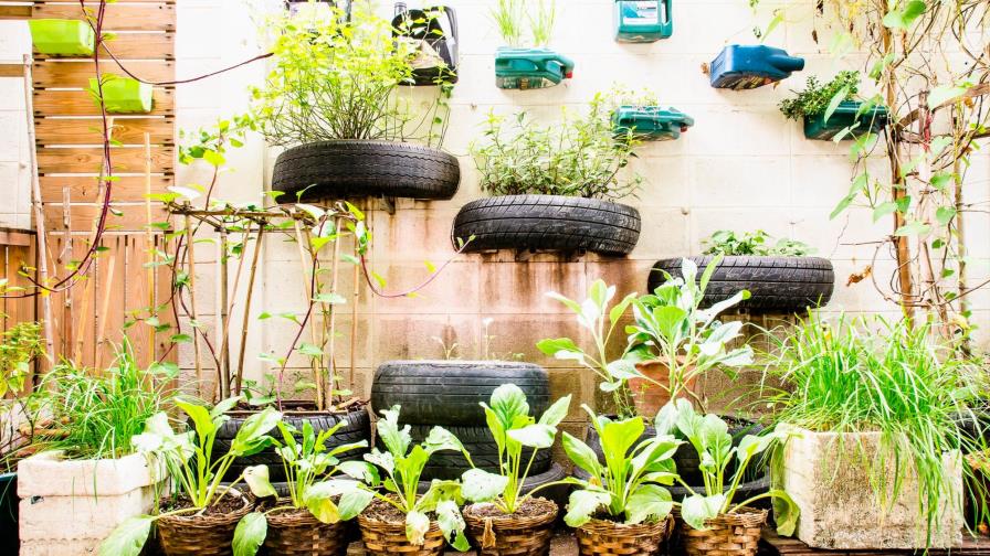 Cómo sembrar un huerto en casa