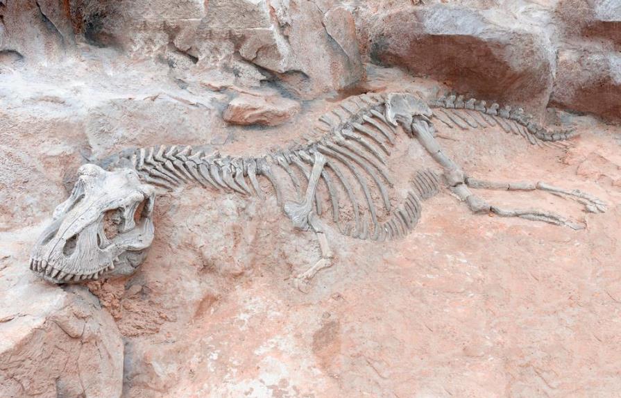 Encuentran restos del que podría ser el dinosaurio más grande de la historia