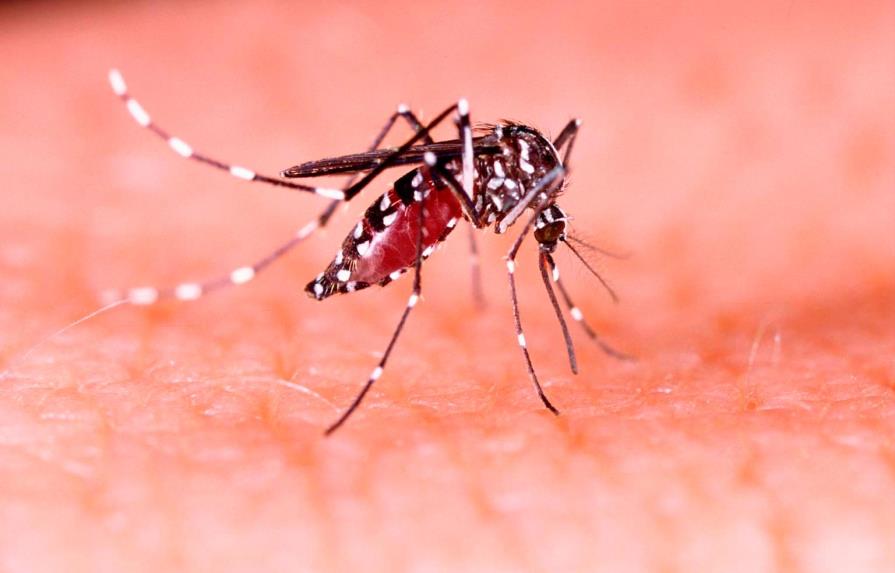 Brote de dengue en los Cayos de Florida llega a 37 casos