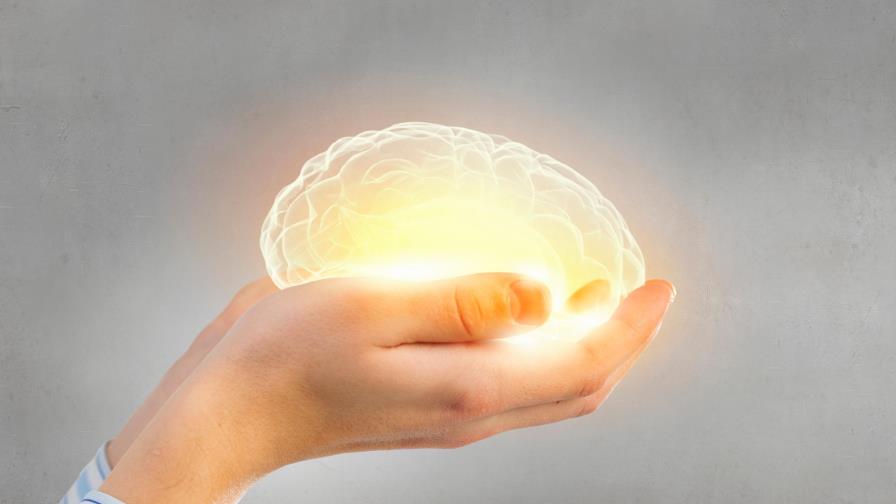 Las conexiones que forman la esencia de una persona