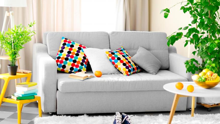 ¿Cómo lograr una casa saludable?