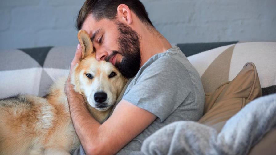 Cinco puntos para cuidar la salud de tu perro