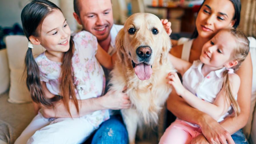 ¿Hasta qué edad crecen los perros?