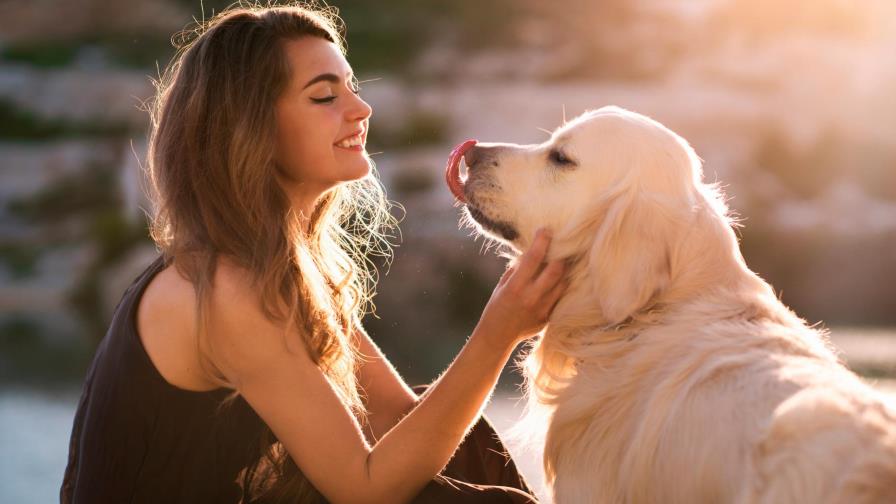 Las mascotas son el antídoto ideal para encierro de coronavirus