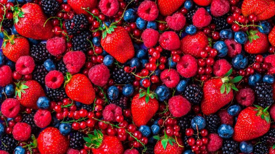 Por qué deberías consumir más frutos rojos