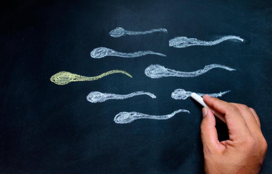 Fertilidad masculina, todo lo que debes saber al respecto