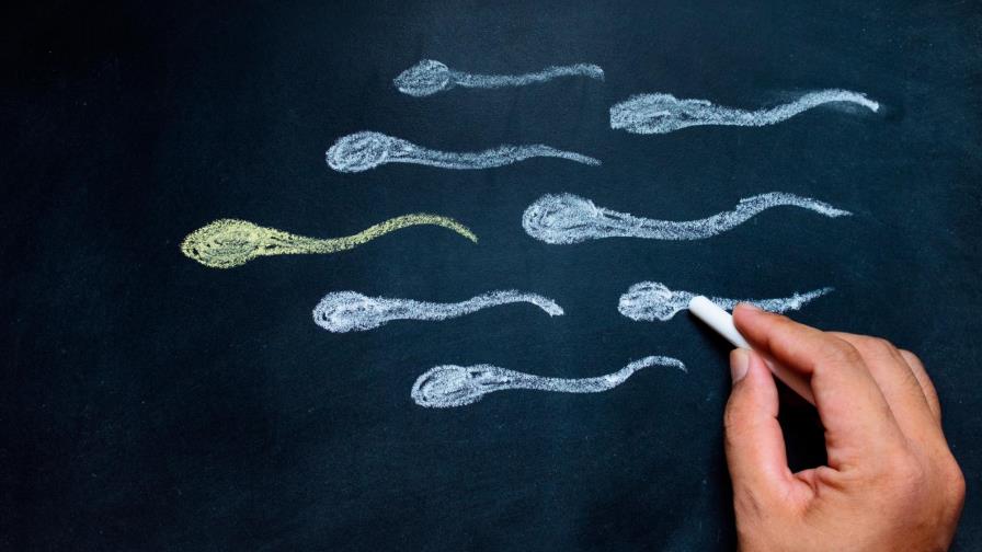 Fertilidad masculina, todo lo que debes saber al respecto