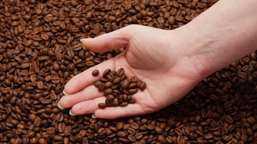 Alternativas saludables al café para tener energía