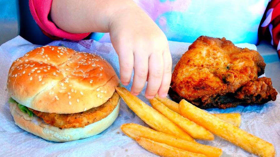 Qué hábitos influyen en el desarrollo de la obesidad infantil
