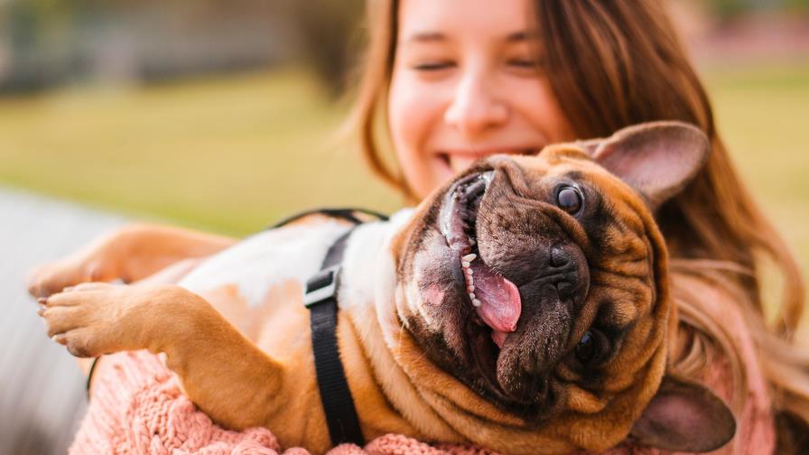 ¿Crees que le das buena vida a tu mascota? Te apostamos a que no