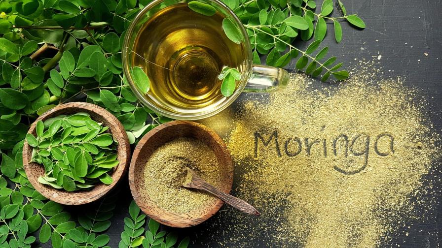 ¿Qué pasó con la moringa? ¿Qué pasó con la moringa?