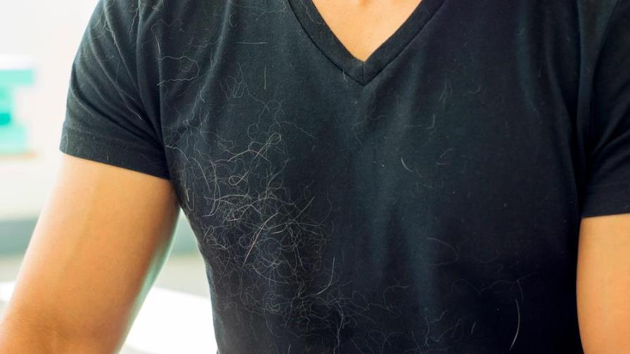 Así puedes eliminar de tu ropa los pelos de tu mascota