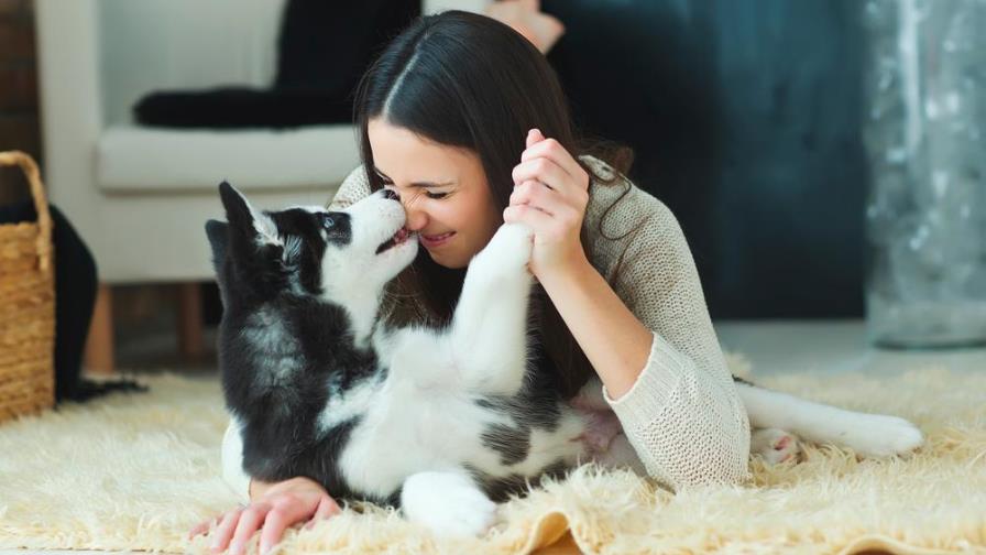 ¿Tener mascotas tiene beneficios para la salud?, la ciencia tiene una respuesta ¿Tener mascotas tiene beneficios para la salud?, la ciencia tiene una respuesta