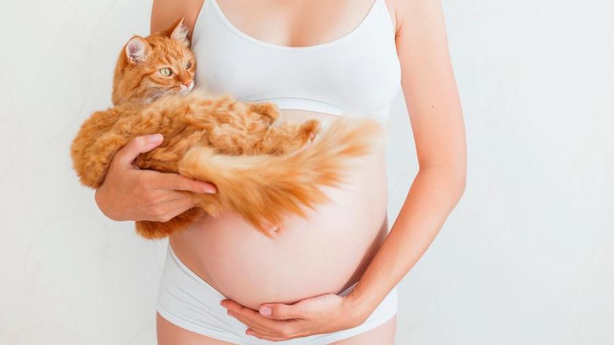 Toxoplasmosis y embarazo: esto es lo que debes saber