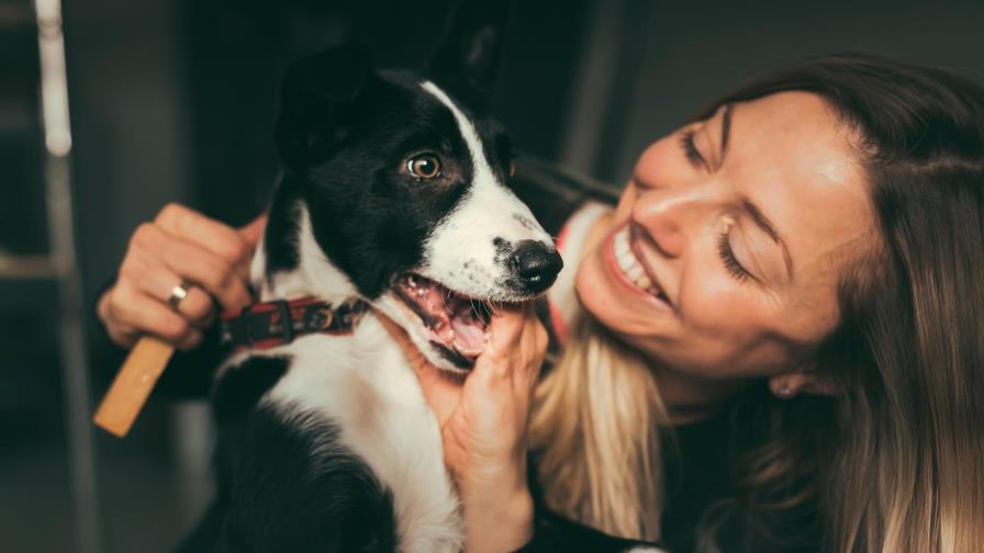 ¿Sabías que tu perro puede hacer estas 4 cosas?