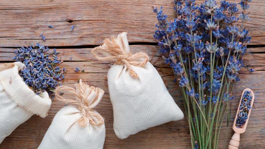 Con estos trucos, tu armario olerá aún mejor