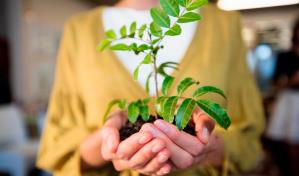 Cómo lograr una vida eco-sostenible