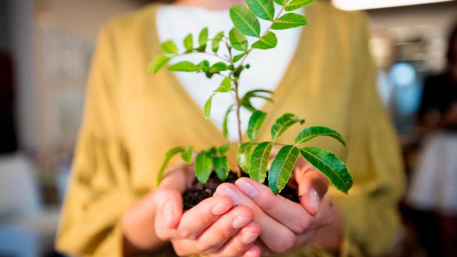 Cómo lograr una vida eco-sostenible