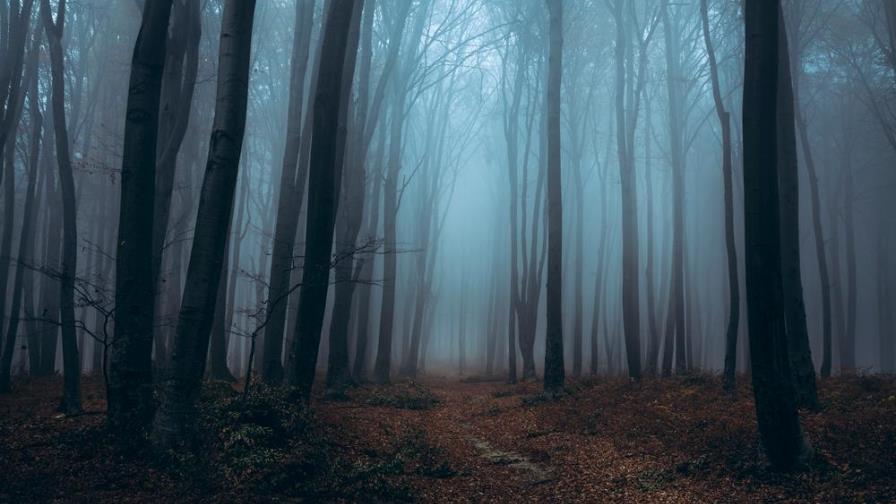 Llega la última temporada de Dark ¡y tenemos el trailer!