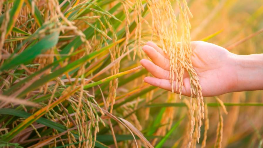 Escasez de agua inquieta en la Línea Noroeste Escasez de agua inquieta en la Línea Noroeste