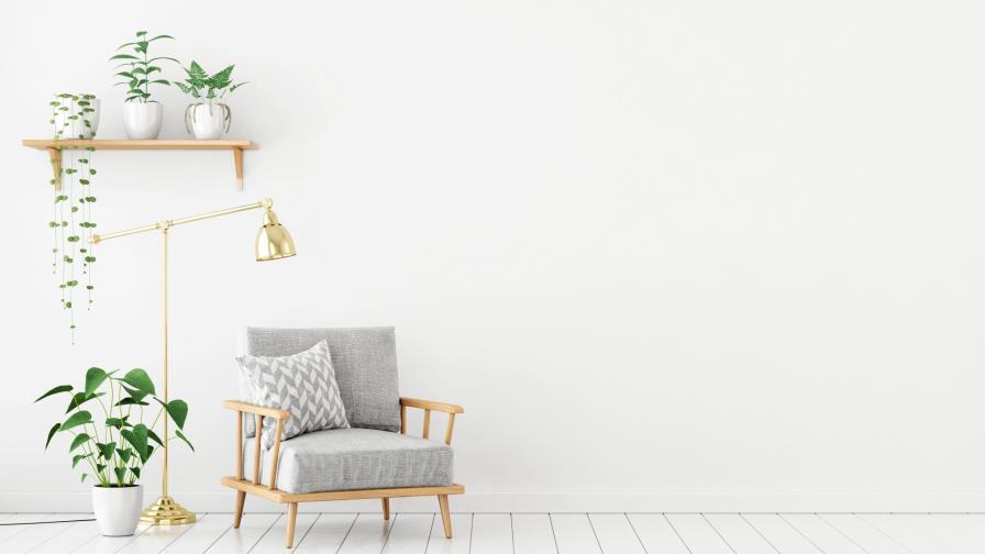 Decoración biofílica: cómo traer la sensación de la naturaleza al interior 