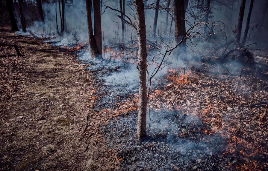Incendio forestal afecta isla colombiana declarada reserva de la biósfera