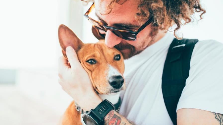 ¿Por qué no deberías tratar a tu perro como a una persona? ¿Por qué no deberías tratar a tu perro como a una persona?