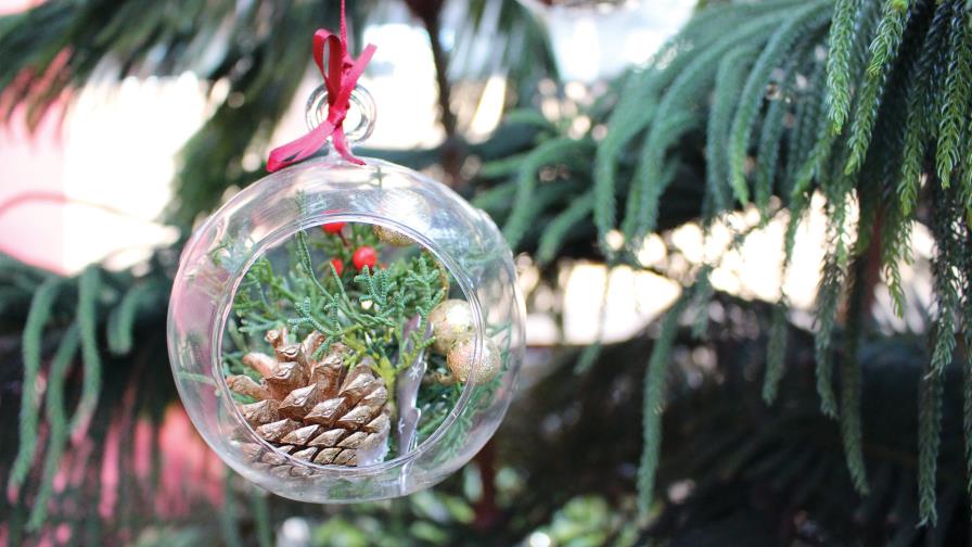 7 trucos para decorar tu arbolito de Navidad 7 trucos para decorar tu arbolito de Navidad