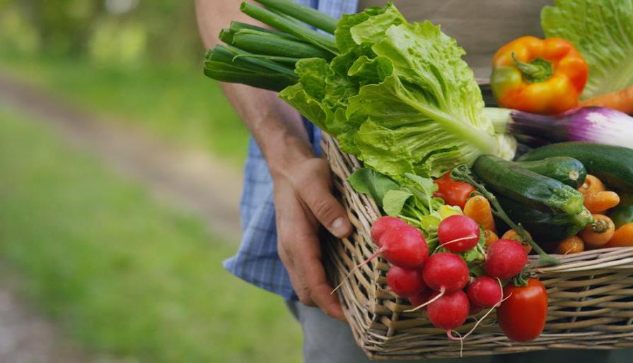 Consejos para incluir más vegetales en tu dieta diaria
