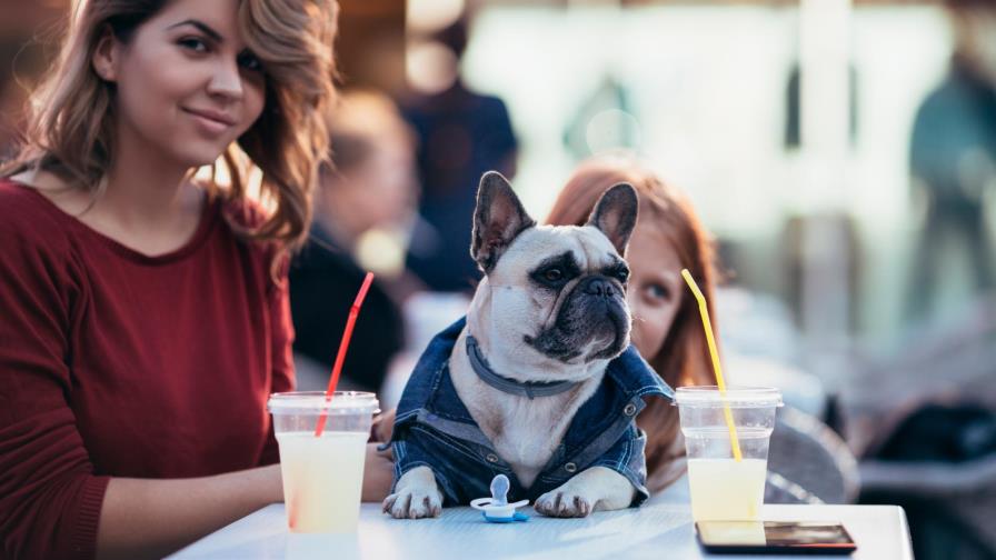 No sin mi mejor amigo