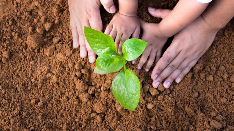 8 valores a cultivar en la cuarentena