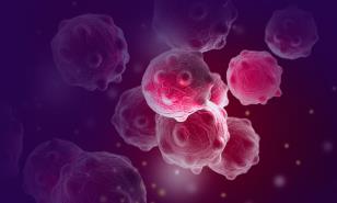 Cifras malignas; expansión de los tumores más comunes  