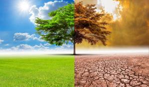 ¿Cómo reducir tu huella de carbono?