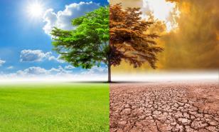 ¿Cómo reducir tu huella de carbono?