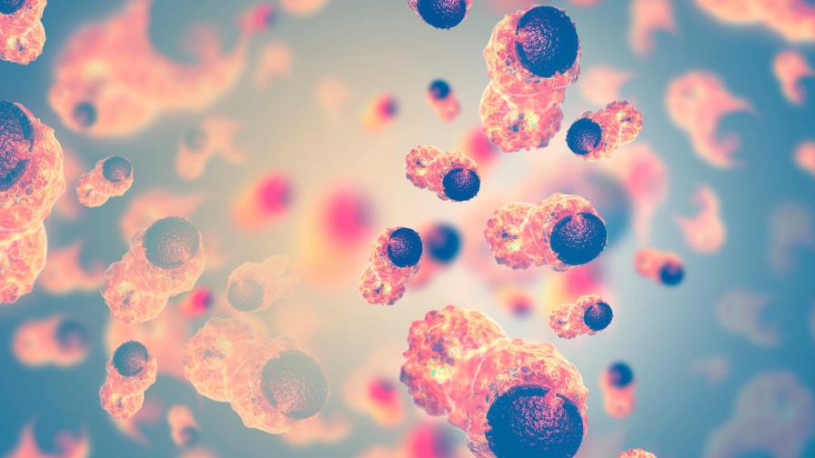 Investigan nueva terapia para tratamiento de cinco tipos de cánceres