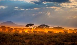 &Aacute;frica se est&aacute; partiendo y eso har&aacute; surgir un nuevo oc&eacute;ano