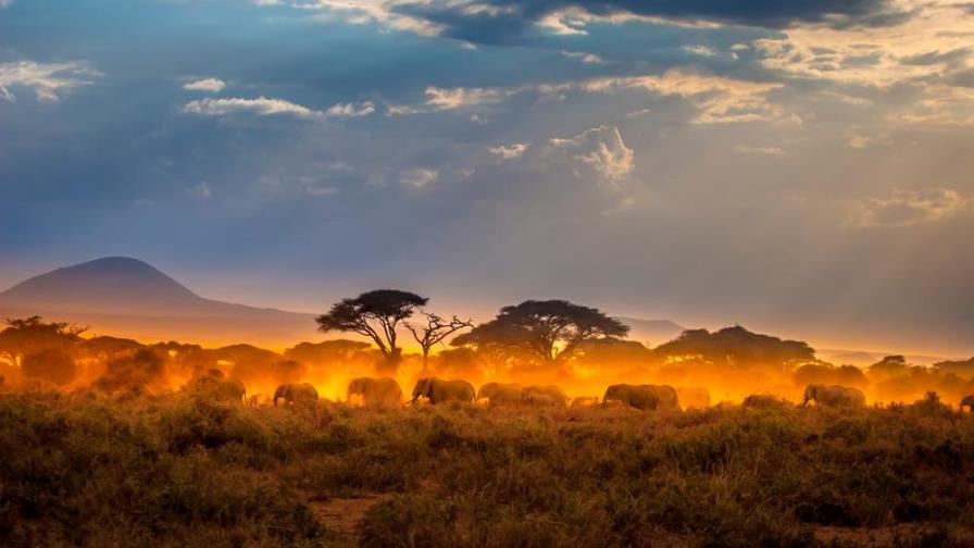 África se está partiendo y eso hará surgir un nuevo océano