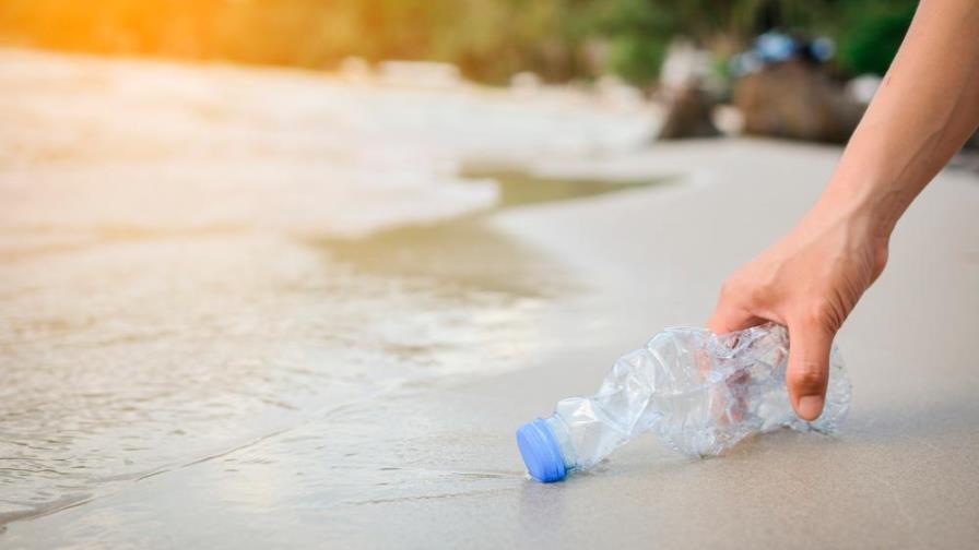Limpieza de playas, 6 grupos a los que unirte