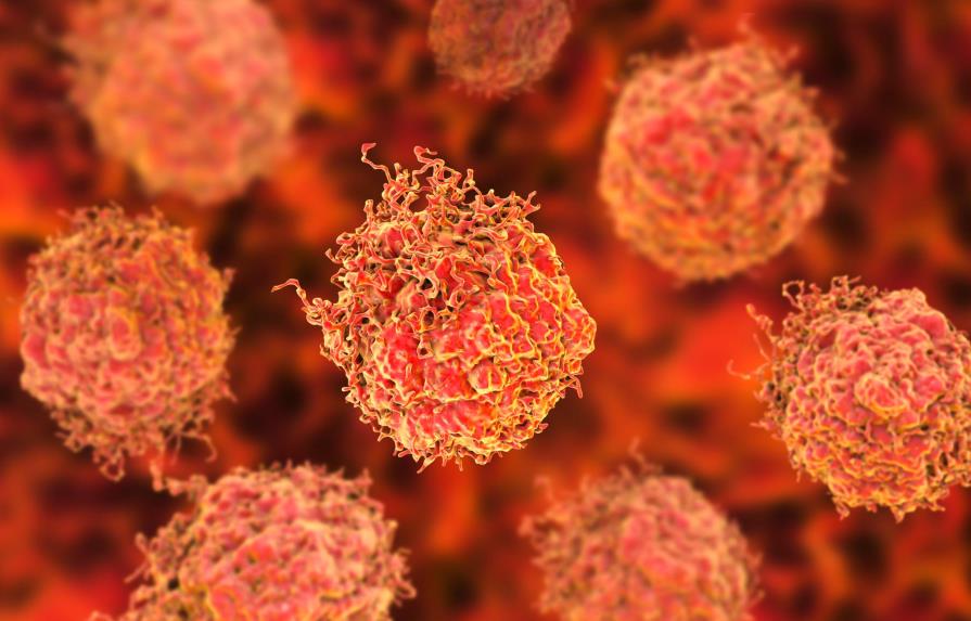 Células cancerosas se tornan caníbales para sobrevivir a la quimioterapia
